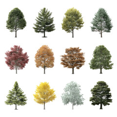 Twelve Isolated Trees: Seasonal Variations, Spring to Winter, High-Resolution Images, Isolated on Transparent Background.