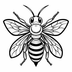 A black and white illustration of a bee with outstretched wings and body