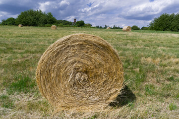 Straw bales on a wheat field. South Moravia, Czech Republic.