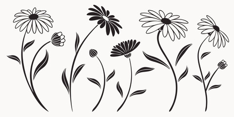 Stylized Black Daisy Flowers and Buds