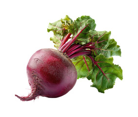 Harvesting fresh beets farm field food natural view isolated on transparent background, png