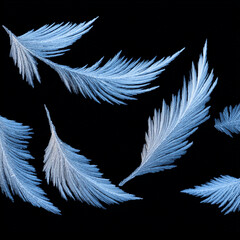 Obraz premium Frosty pattern on the window glass. Frost on the window.