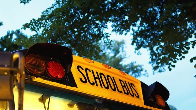 A picturesque school bus at dusk surrounded by tall trees above, beautifully captured in stunning 4K resolution