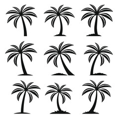 Fototapeta premium Collection of nine black silhouette palm trees tropical