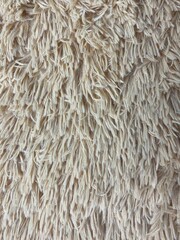 close up of sheep fur