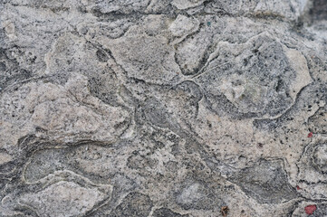 Intricate Natural Rock Surface Texture with Varied Grey and Beige Tones Creating Organic Patterns and Grain Details