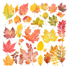 Obraz premium Artistic watercolor illustration featuring a diverse set of fall leaves, perfect for autumn-themed design elements and seasonal decorations