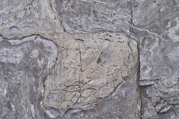 Intricate patterns and textures on a weathered gray rock surface revealing geological history and natural artistry