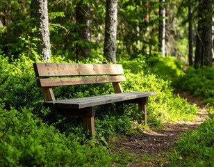 Naklejka premium Wooden park bench in a sunlit forest