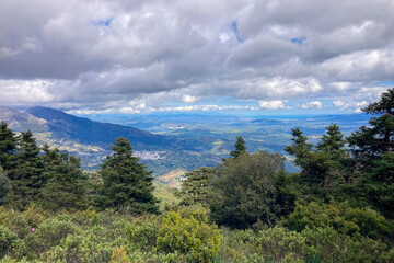 Obraz premium Panoramic view on Yunquera and surrunding pine forest from Puerto Saucillo viewpoint, Sierra de las Nieves national park, Andalusia, Spain