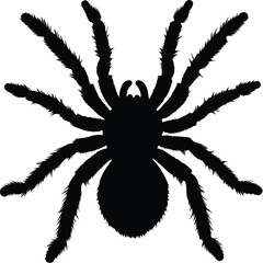 Obraz premium Large tarantula spider silhouette with hairy legs spooky Halloween vector illustration creepy haunted spider design, Spooky hairy tarantula silhouette, Haunted Halloween spider illustration