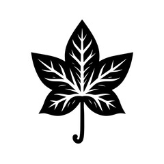 Black and white vector silhouette of a Ivy leaf on a white background  