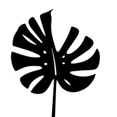 Black and white vector silhouette of a Monstera leaf on a white background 