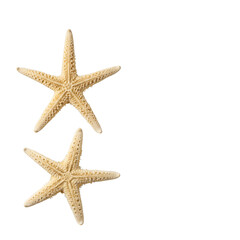 Two natural dried starfish, one slender and one robust, light beige on pale sand, studio flat lay, soft light, copy space, concept of natural diversity and tranquility