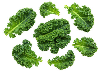 Pristine, vibrant curly kale leaves, rich deep green, ruffled edges, arranged on transparent background, overhead shot, soft studio lighting, concept of healthy eating and natural goodness