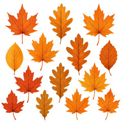 Isolate transparent Autumn Leaf Collection Featuring Maple Leaves in Warm Orange and Yellow Hues PNG die-cut for advertising