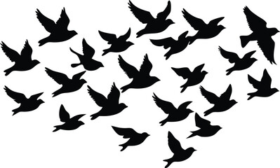  Flock of birds in flight flying silhouette illustration
