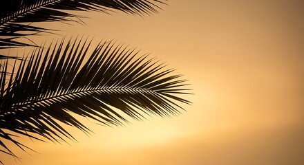 Palm Tree Silhouette Against a Warm Sunset Sky Tropical Paradise and Vacation Getaway Mood with Exotic Feeling and Golden Hour Light
