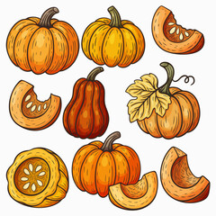 Set of bright pumpkins in flat style with dark outline	
