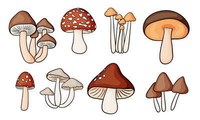 Set of bright forest mushrooms with dark outline in flat style