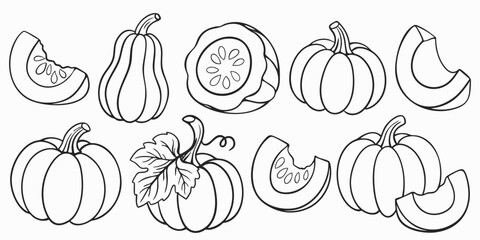 Set of pumpkins of different shapes in outline style. Linear style