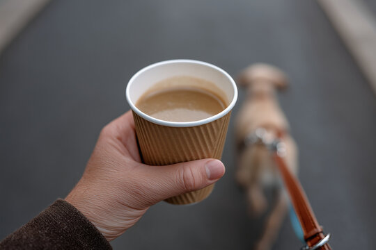 POV shot of a hand holding a paper coffee cup with a dog leash, walking on the street, shaky natural feel,