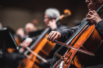 Fototapeta premium Musicians performing live classical symphony