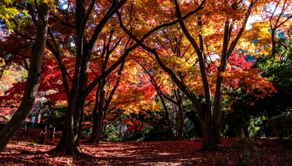 A vibrant autumnal scene showcases a park filled with colorful maple trees.