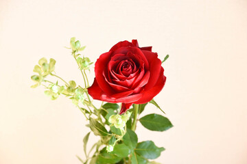 赤薔薇とエクレール