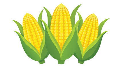 Three ripe ears of yellow corn with green husks