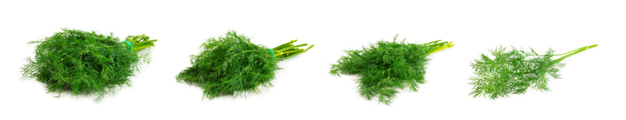 Dill isolated on white background. Fresh organic greens. Dill plantation. Dill leaves. Bunch of...
