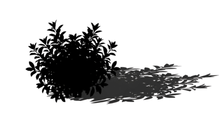 Silhouette of Bushes with Water Reflection on Dark Surface in Low Light