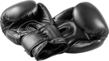 pair of boxing gloves isolated on white background