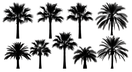 Collection of Black and White Palm Tree Silhouettes for Tropical and Nature Themes