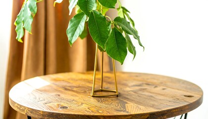 A vibrant indoor plant sits gracefully on a round wooden table, bathed in natural light.