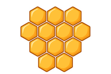 Vector honeycomb hexagon pattern. Isolated honey comb texture design with cartoon illustration. Sweet golden natural food background. Hexagonal cell structure for apiary concept.