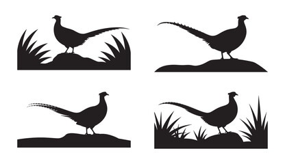 Naklejka premium Silhouetted pheasants in different poses with grass and rocks vector illustrations