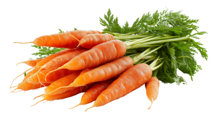 bundle of fresh organic carrots with green leaves, isolated on white background, natural stock image