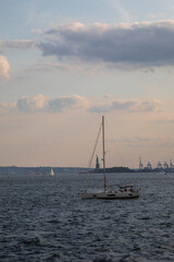 미국 여행 이야기