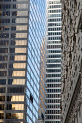 미국 여행 이야기