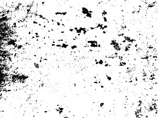 A monochrome image showcasing a weathered, white surface, adorned with irregular black markings and a densely textured area. Its aged appearance adds depth.