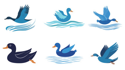 Obraz premium Logo Icon of Blue Duck – Modern Endangered Bird Symbol Design