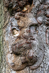 미국 여행 이야기