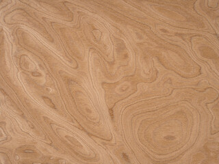 Walnut burl veneer surface with intricate swirls and rich earthy tones creating an artful display