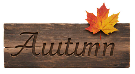 Autumn wooden sign PNG. Rustic old wooden sign with hand carved Autumn text and orange maple leaf on top isolated. Fall season sign PNG. Vintage wood signboard engraved with Autumn lettering