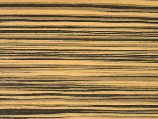 Golden hues and dark streaks dance in harmony on the rich surface of this zebrawood veneer