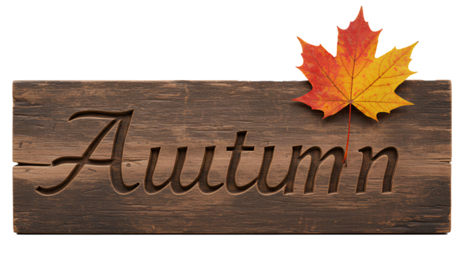 Autumn wooden sign PNG. Rustic old wooden sign with hand carved Autumn text and orange maple leaf on top isolated. Fall season sign PNG. Vintage wood signboard engraved with Autumn lettering