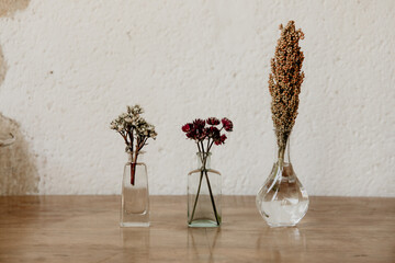 Minimalist Still Life with Dried Flowers in Glass Vases