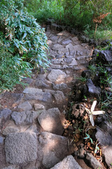 東京散歩　酷暑の六義園2025