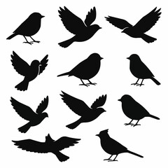 Obraz premium set of silhouettes of birds